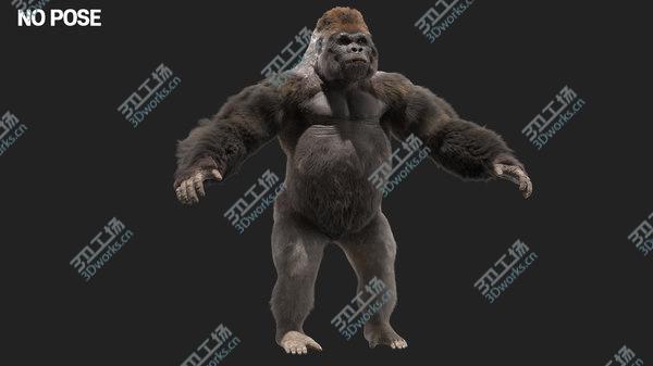 images/goods_img/20210312/3D Lowland Gorilla Fur (Rigged)/4.jpg